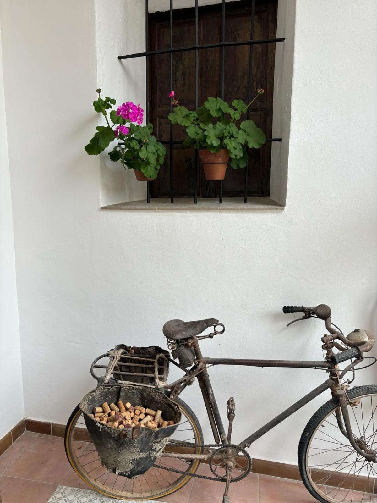 Art Boutique La Casona De Las Flores Ondara Exterior foto